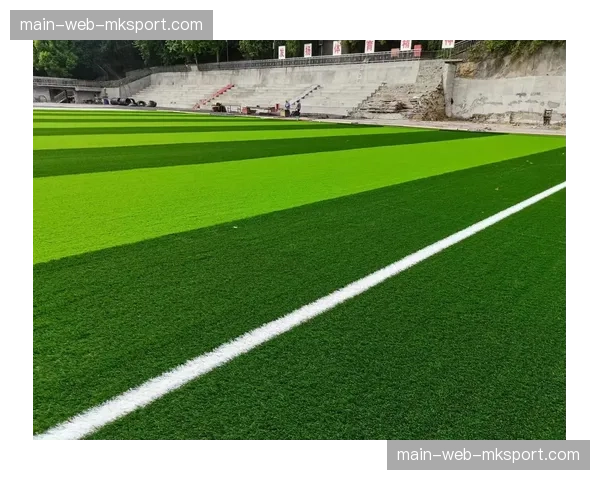 西雅图流明球场启动世界杯草坪专项养护工程